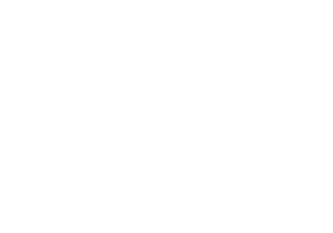 web excellence awards logo