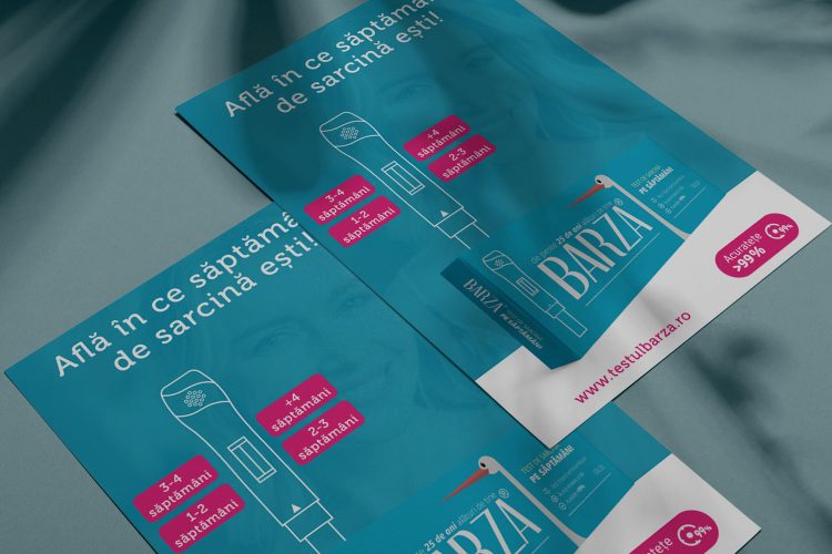 Mockup-Test-sarcina-saptamani